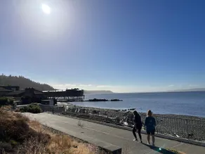 Bodhi’s Bungalow Alki- Basement MIL 2 Blocks Beach - Image 4