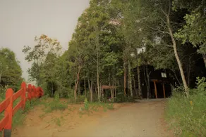 Loft house immersed in the woods, Pucón - Image 2