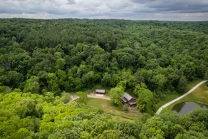 Private Cabin w/Hot Tub. Woods and nature - Image 3