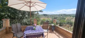 Ranco Lidia's Vineyard - Image 2