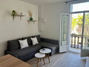 Montpellier centre - La Fenêtre de l’écusson - Image 3