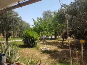 Chalet Valencia, Manises airport - Image 3