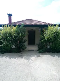 The House in the Mulberries Trees - Image 4