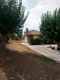 The House in the Mulberries Trees - Image 3