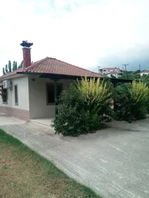 The House in the Mulberries Trees - Image 2