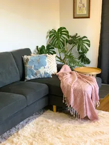 The Eversley Vines Guesthouse - Image 4