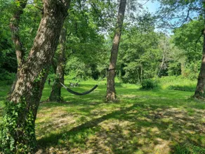 Gites de Bravone - Image 4