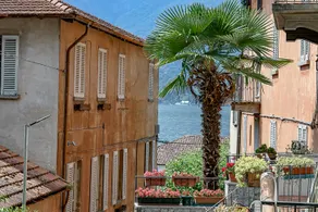 Loppia house - Image 1