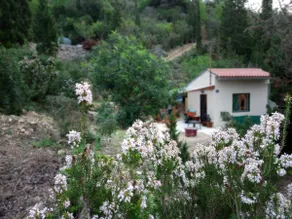 Sea side house for two in a wilderness - Image 2