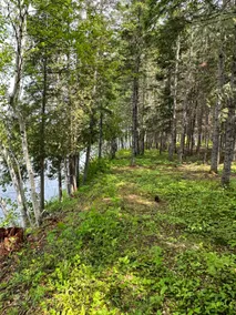 Ruffed Grouse Lodge Renous - Image 5