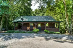 Bear cabin with Hot Tub - Image 4