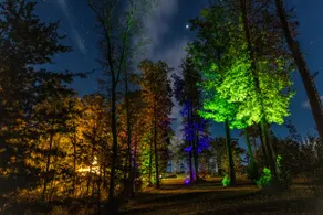 8-Acre Escape: Fishing Pond, Waterfalls, Disc Golf - Image 3