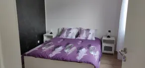 Le Purple, luxury apartment in the hypercenter - Image 4