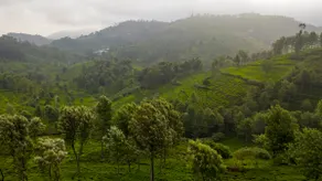 Beautiful View - Image 5