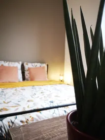 Nice central apartment - Image 5