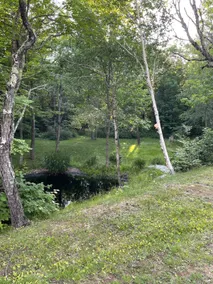 Head-O-Tide - Image 5