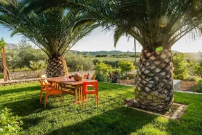 Aloni Home - Image 4