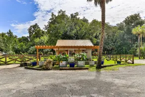 Tin Roof Cabin at The Cove - Image 2