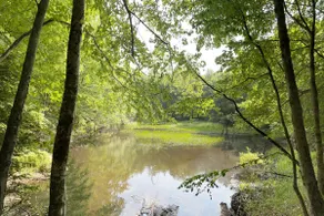 Catskills 6BR w/ Pond & Fire Pit, Sleeps 14 - Image 2
