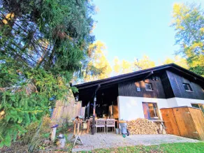 Bungalow directly at the lake, with own boat - Image 2
