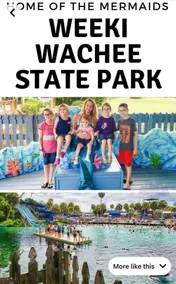 Good Night Weeki Wachee - Image 5