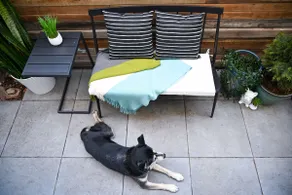 Vibrant, Walkable & Pet Friendly - Image 5