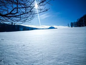 Alpine hut in a secluded location - Image 3