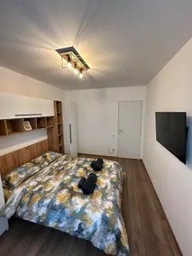 Alpine Home Sinaia - Image 2