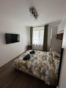 Alpine Home Sinaia - Image 3