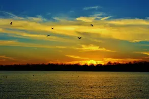 The Overlook at Bachelor Bend on Lake Ferguson - Image 3