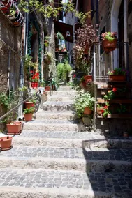 La casa al vicolo - Image 2