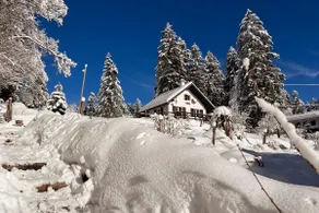 Le Jolychalet Nature in its purest state - Image 5