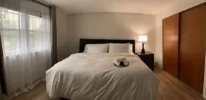 Affordable 1 bedrm;King Bed;Big Closet;DownFeather - Image 4