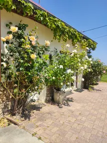 Bourgeois House +16 beds, pool & petanque - Image 4