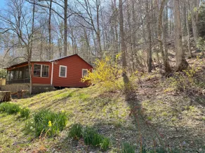 The Trout House Right on Laurel Fork Creek - Image 2