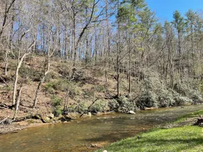 The Trout House Right on Laurel Fork Creek - Image 4