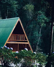 Chalet surrounded by lots of greenery - Image 3