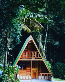 Chalet surrounded by lots of greenery - Image 2