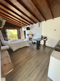 Double hydro, indoor fireplace and amazing view - Image 5