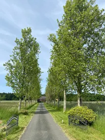 FeWo Baven 85 sqm, rural, quiet, near the forest - Image 3