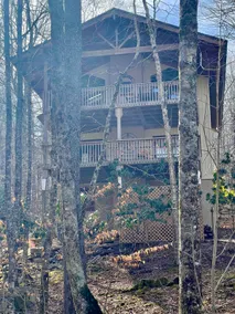Running Bear Cabin - Image 2