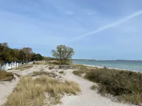Cabin on the beach with ocean view! - Image 5