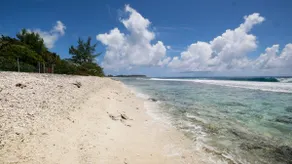 Bungalow n°3 seaside at Motu Temae, swimming pool - Image 4