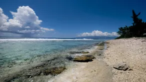 Bungalow n°3 seaside at Motu Temae, swimming pool - Image 5