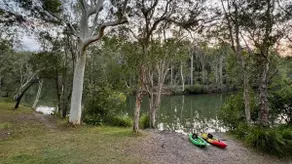 Noosa on the river in the bush with fishing kayaks - Image 5