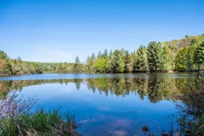 Lakefront Chalet | Hot Tub | Kayak | Private Land - Image 4
