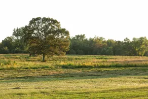 Quiet Country Home - Homestead Acres - Image 2