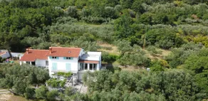 House among olive trees with a sea view 1 - Image 2