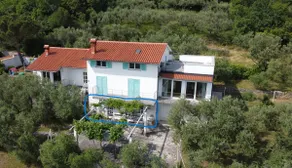 House among olive trees with a sea view 1 - Image 3