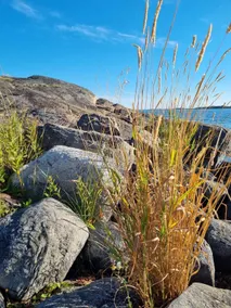 Private house on island in archipelago idyll - Image 2